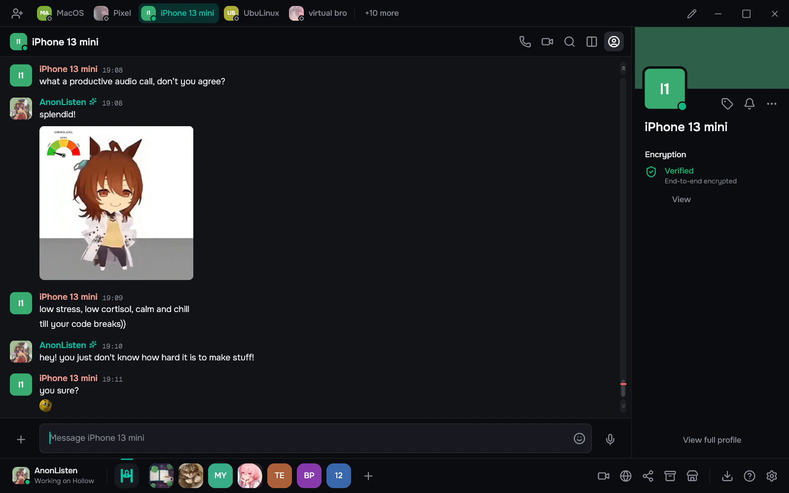A direct message in Hollow with a GIF in the chat, and the contact's profile marked verified and end-to-end encrypted